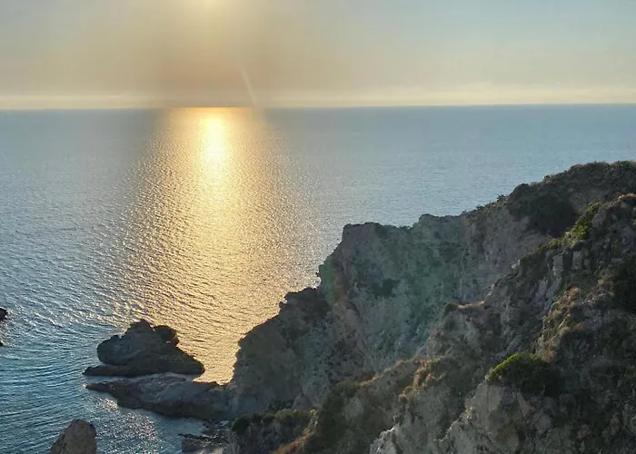 Stella Marina ザンブローネ